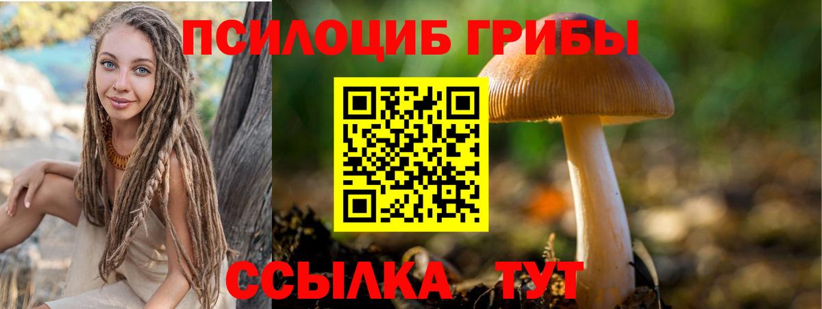Советская Гавань  Галлюциногенные грибы Cubensis  Вход с VPN 